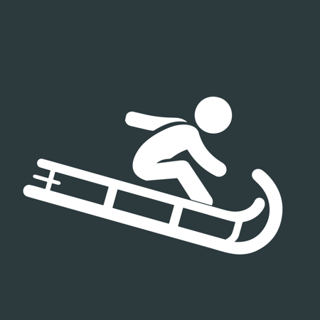 Bild für Kategorie Rodelbahn