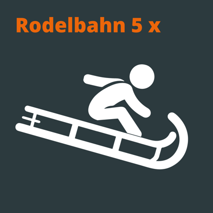 Picture of Warengutschein Rodelbahn 5x